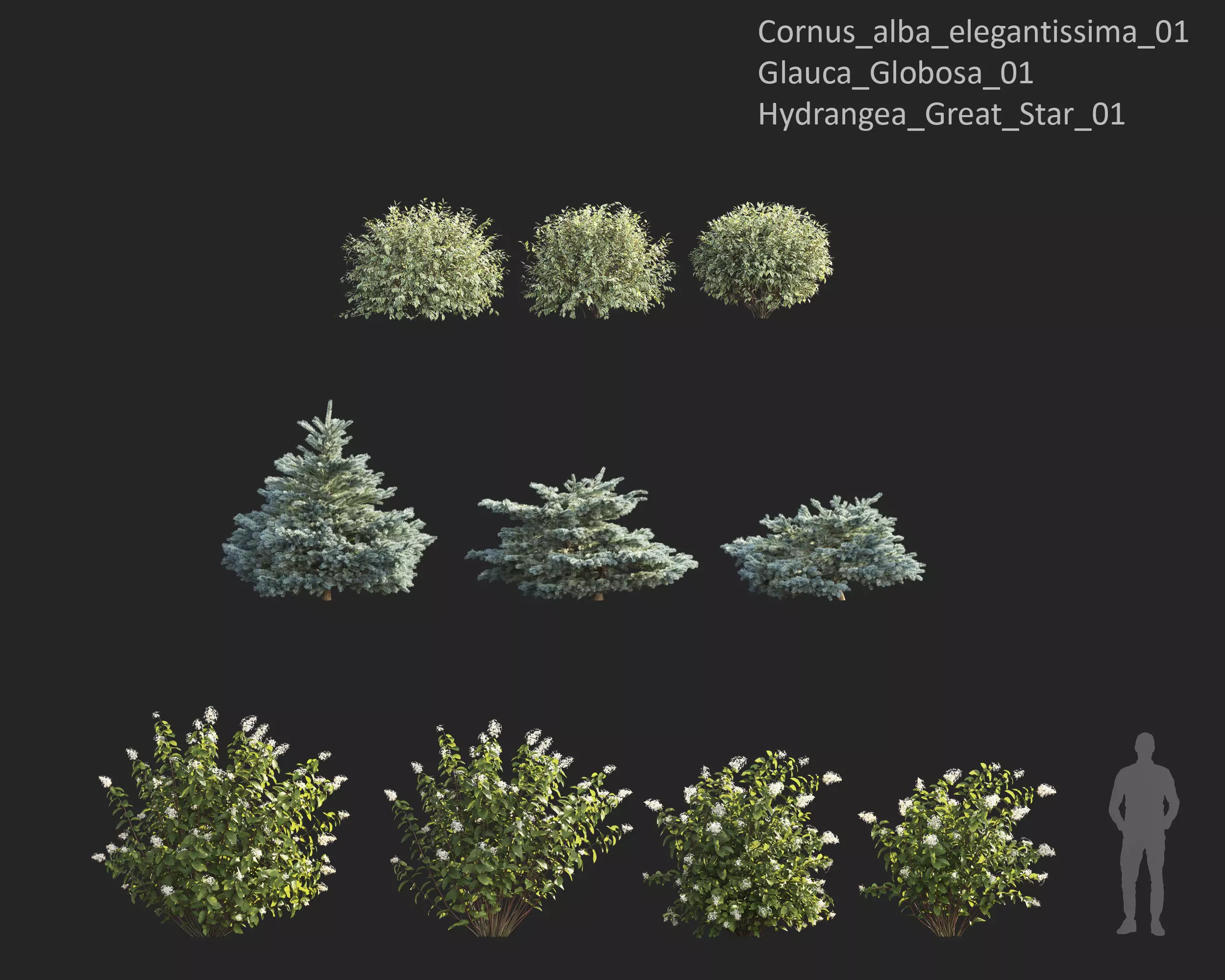 Plants Collection 1 3D model_11
