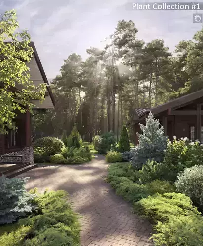 Plants Collection 1 3D model Plants Collection 1 3D model