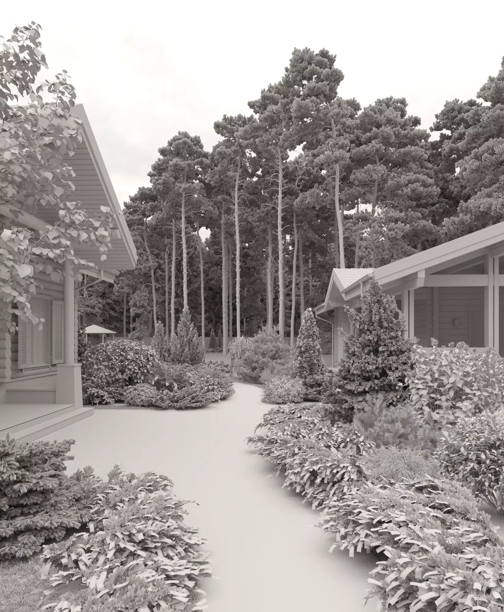 Plants Collection 1 3D model_3