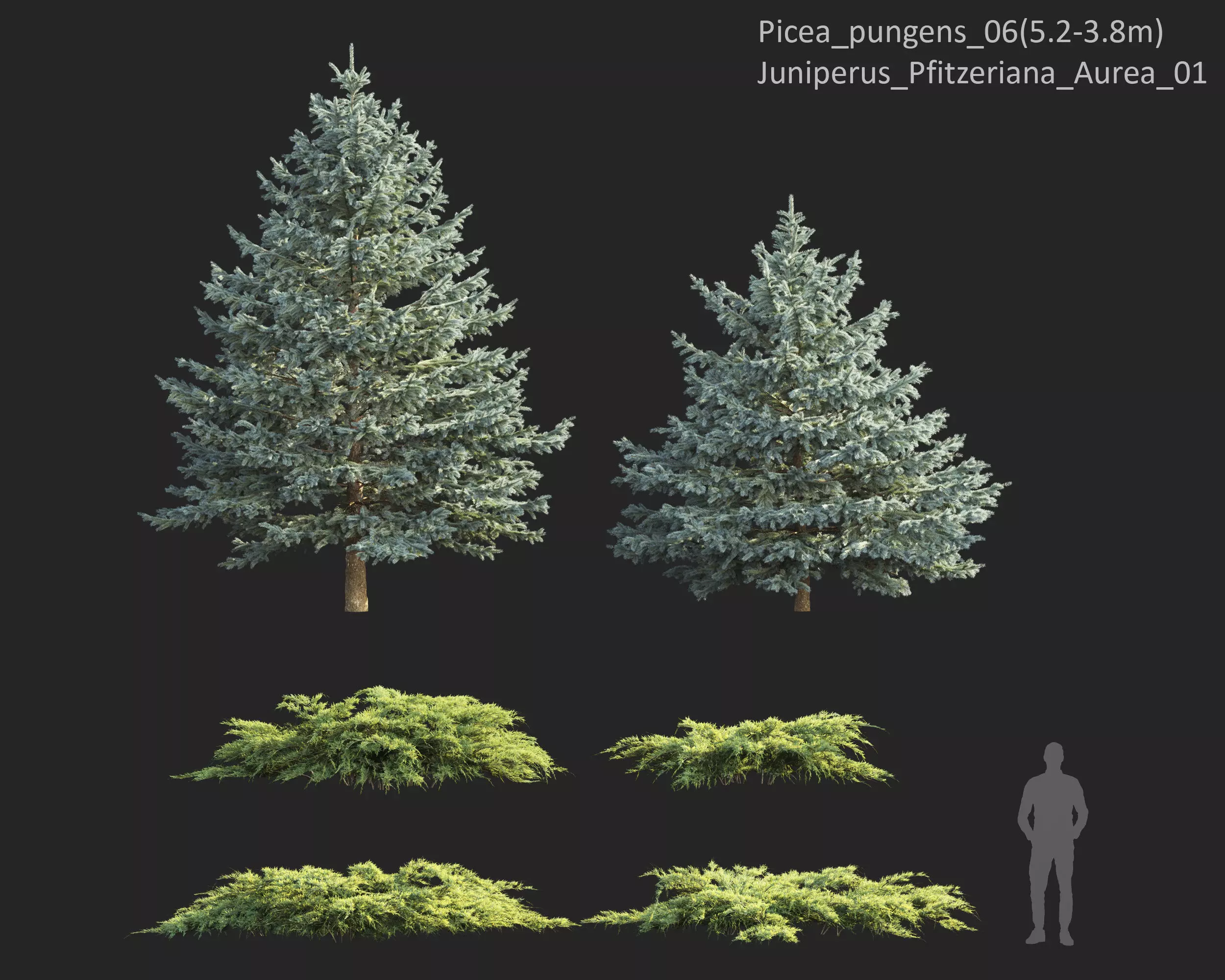 Plants Collection 1 3D model_14