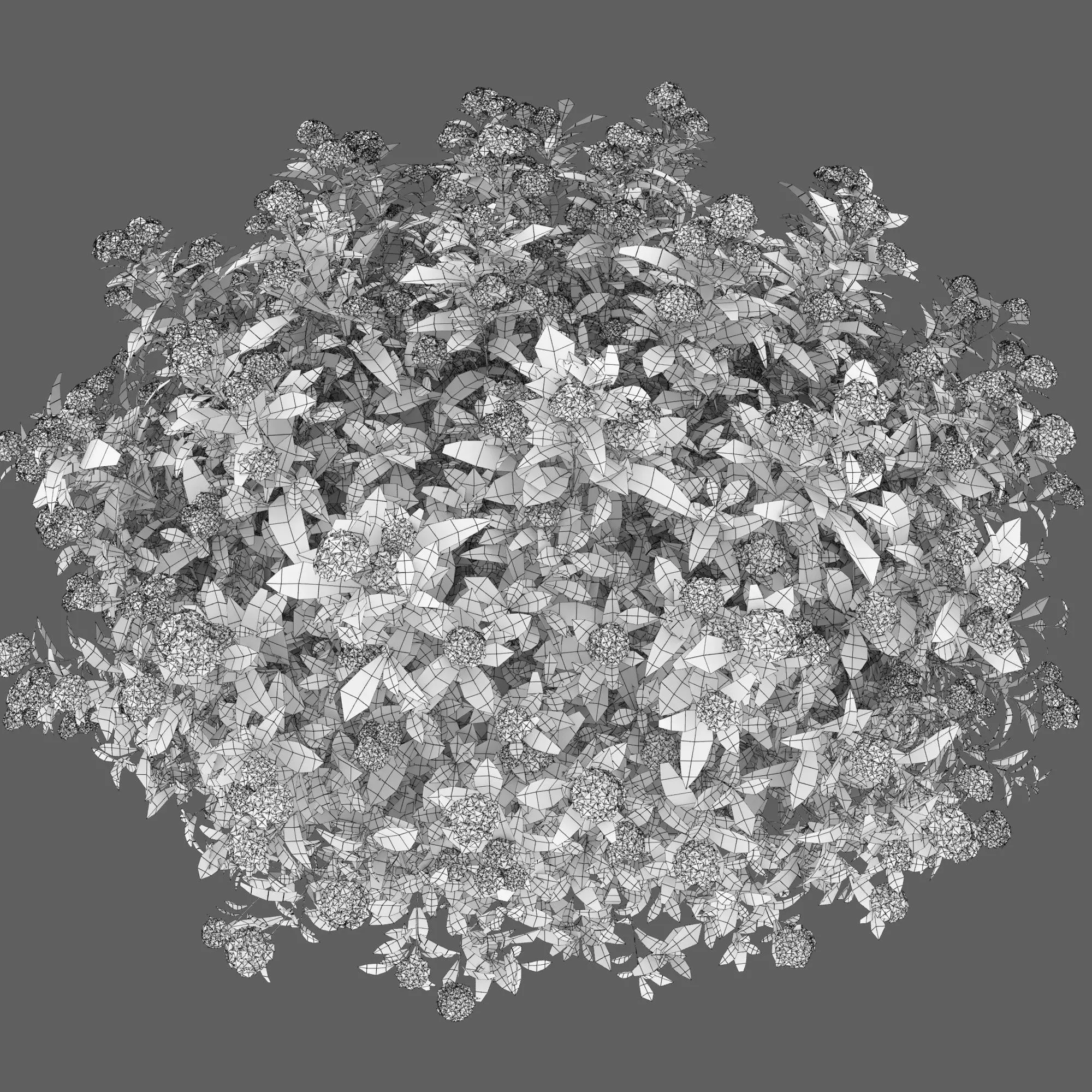 Plants Collection 1 3D model_35