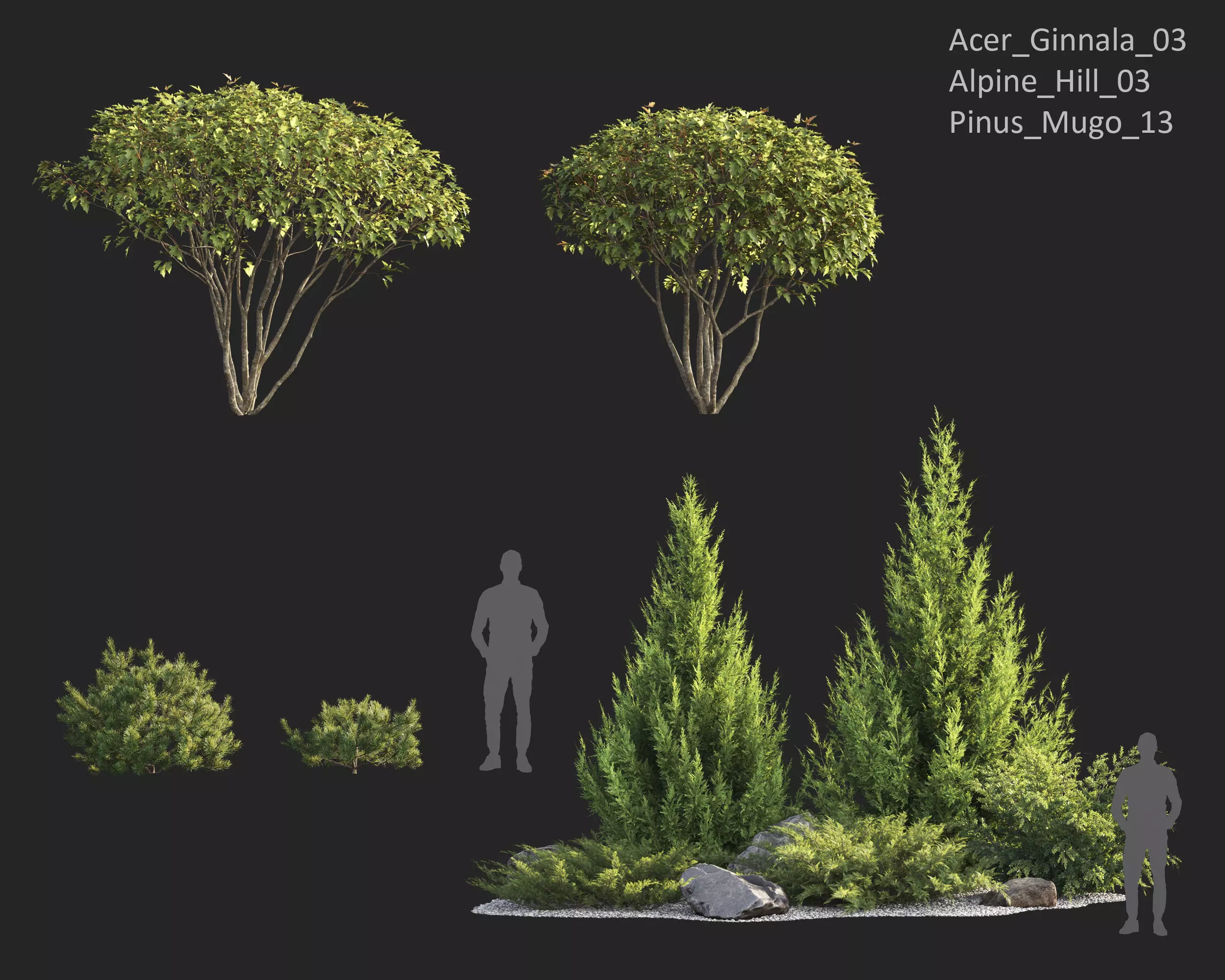 Plants Collection 1 3D model_5