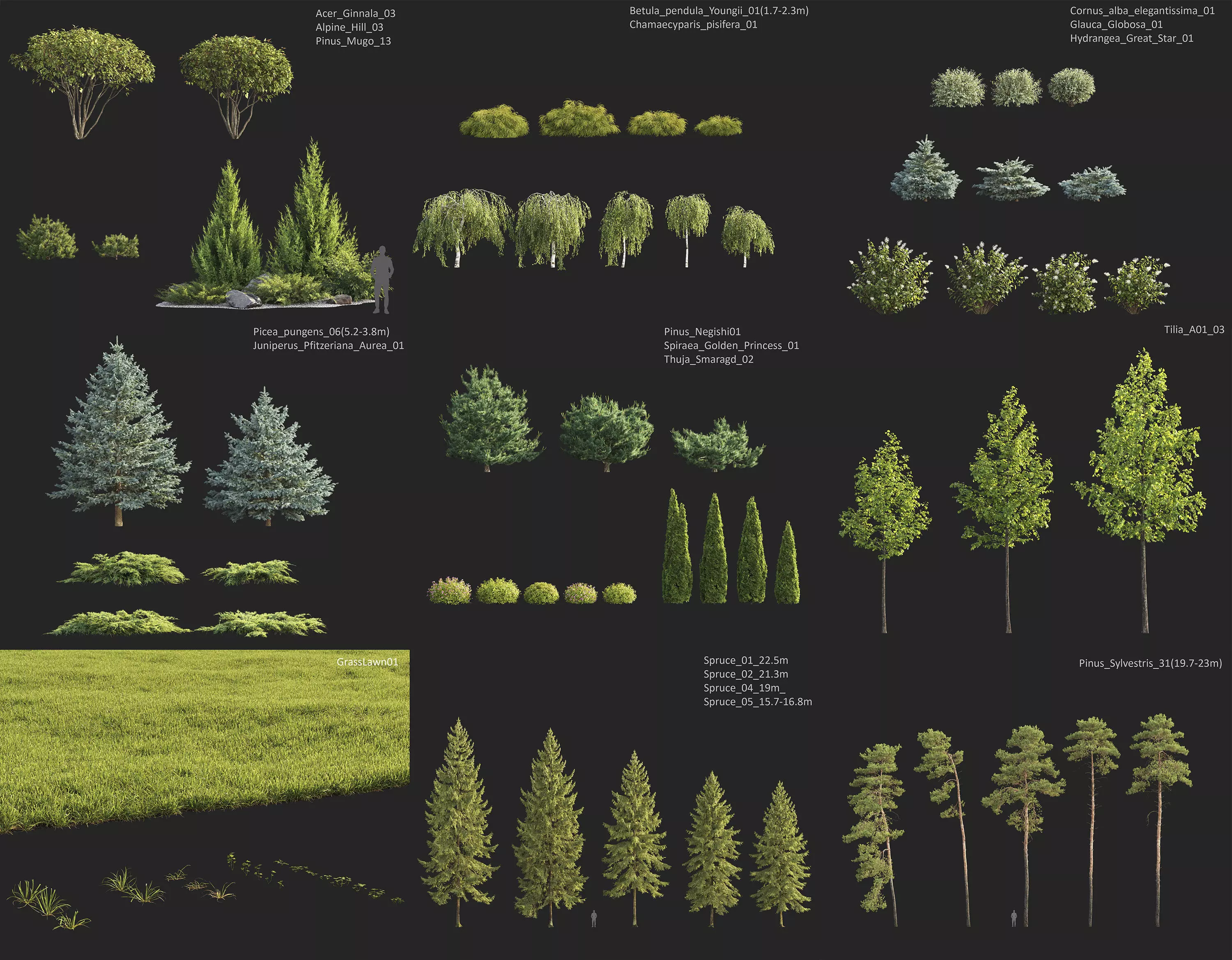 Plants Collection 1 3D model_4