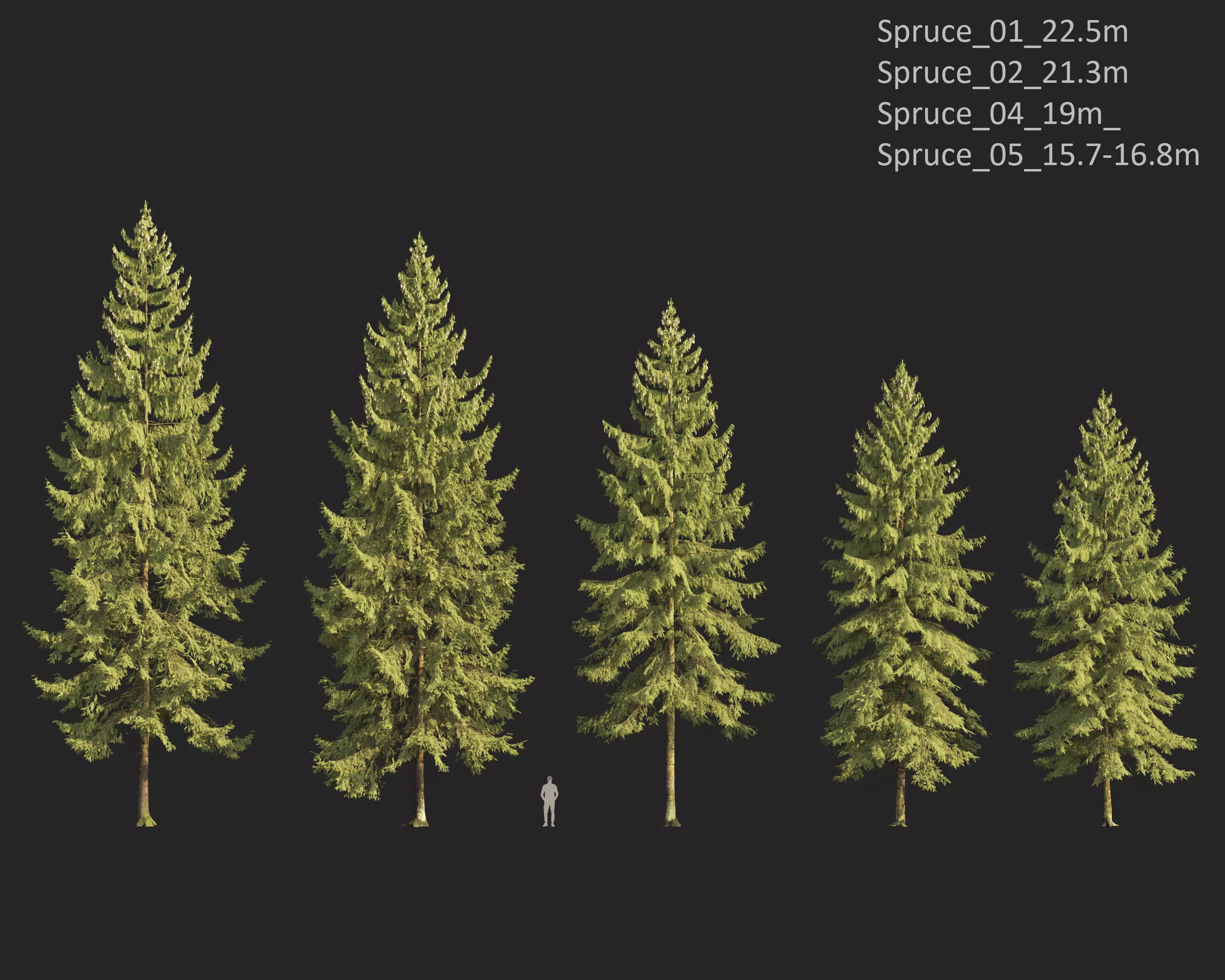 Plants Collection 1 3D model_27