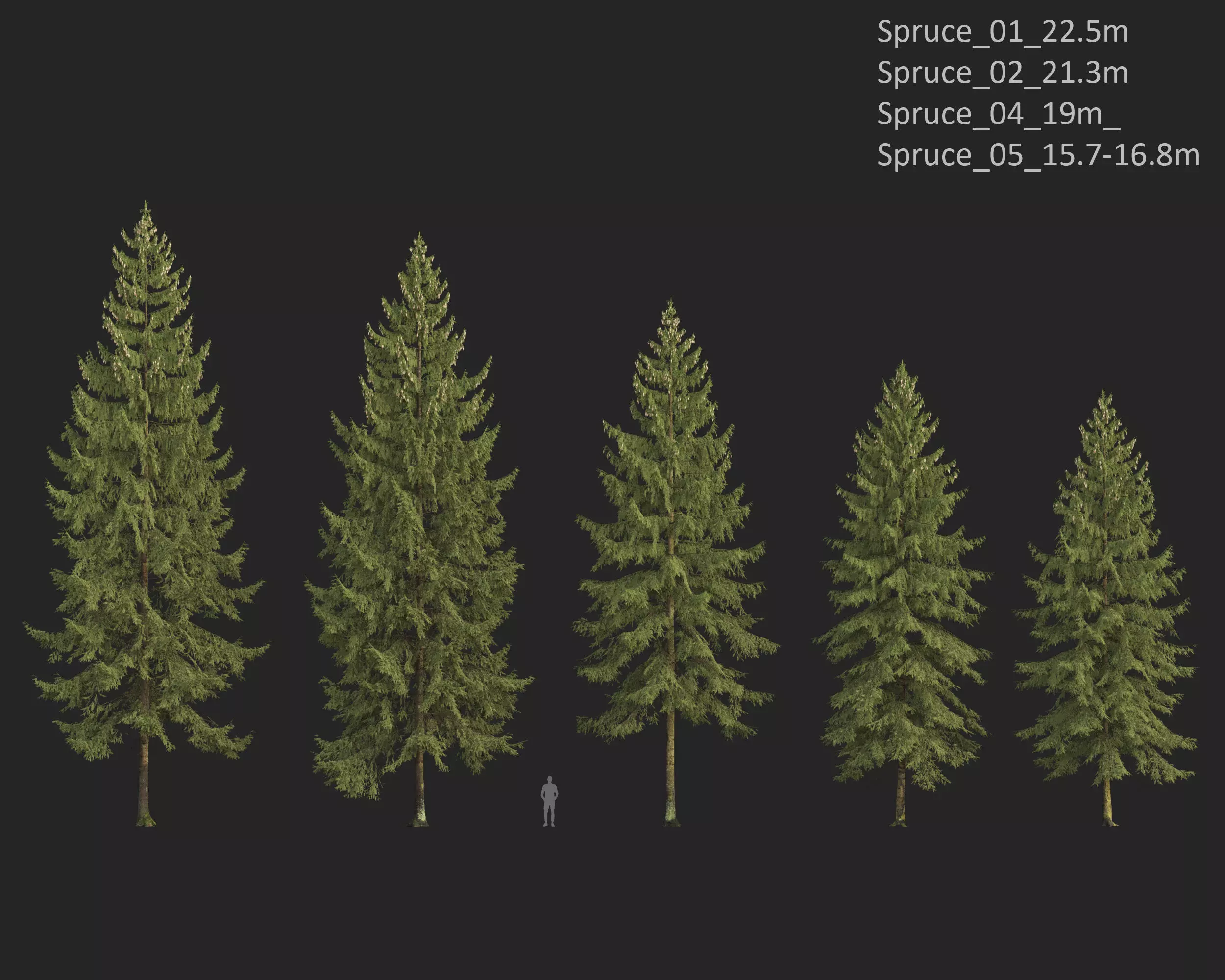 Plants Collection 1 3D model_28