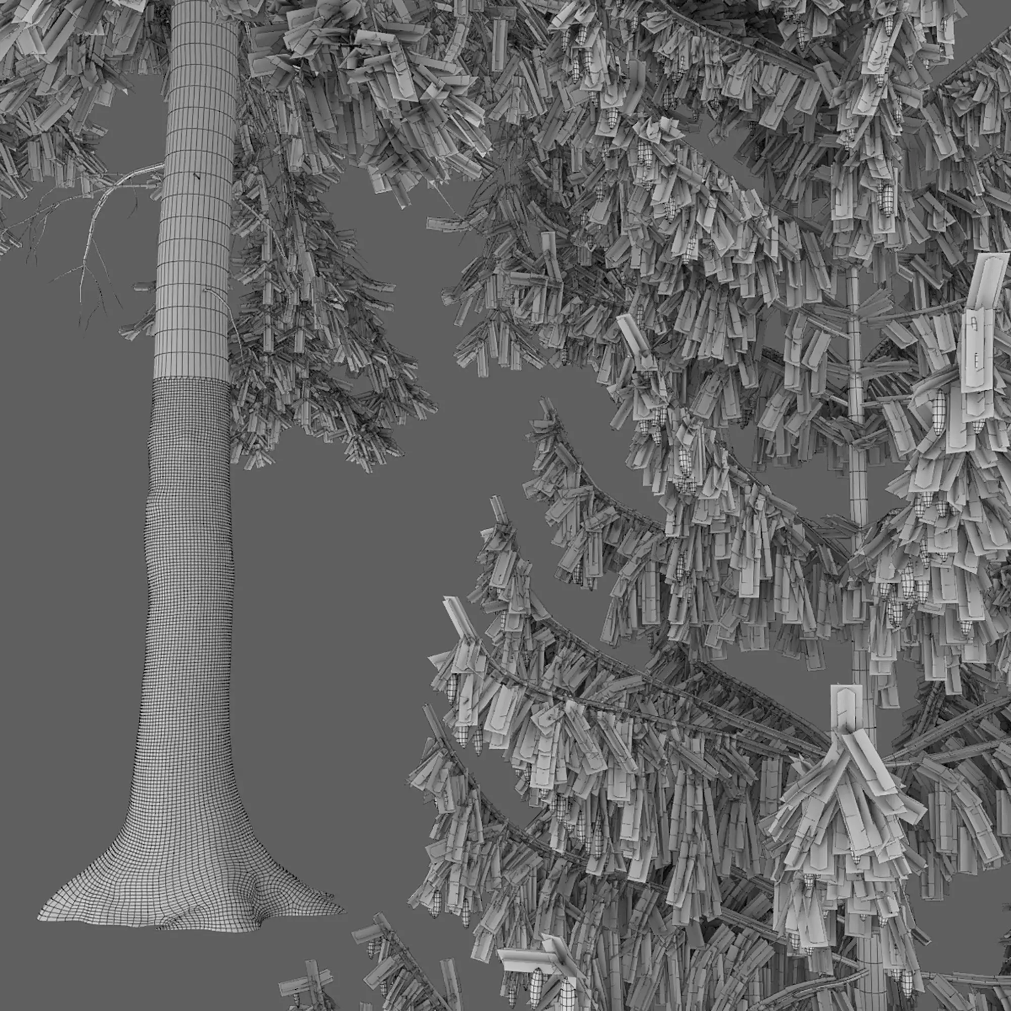Plants Collection 1 3D model_33
