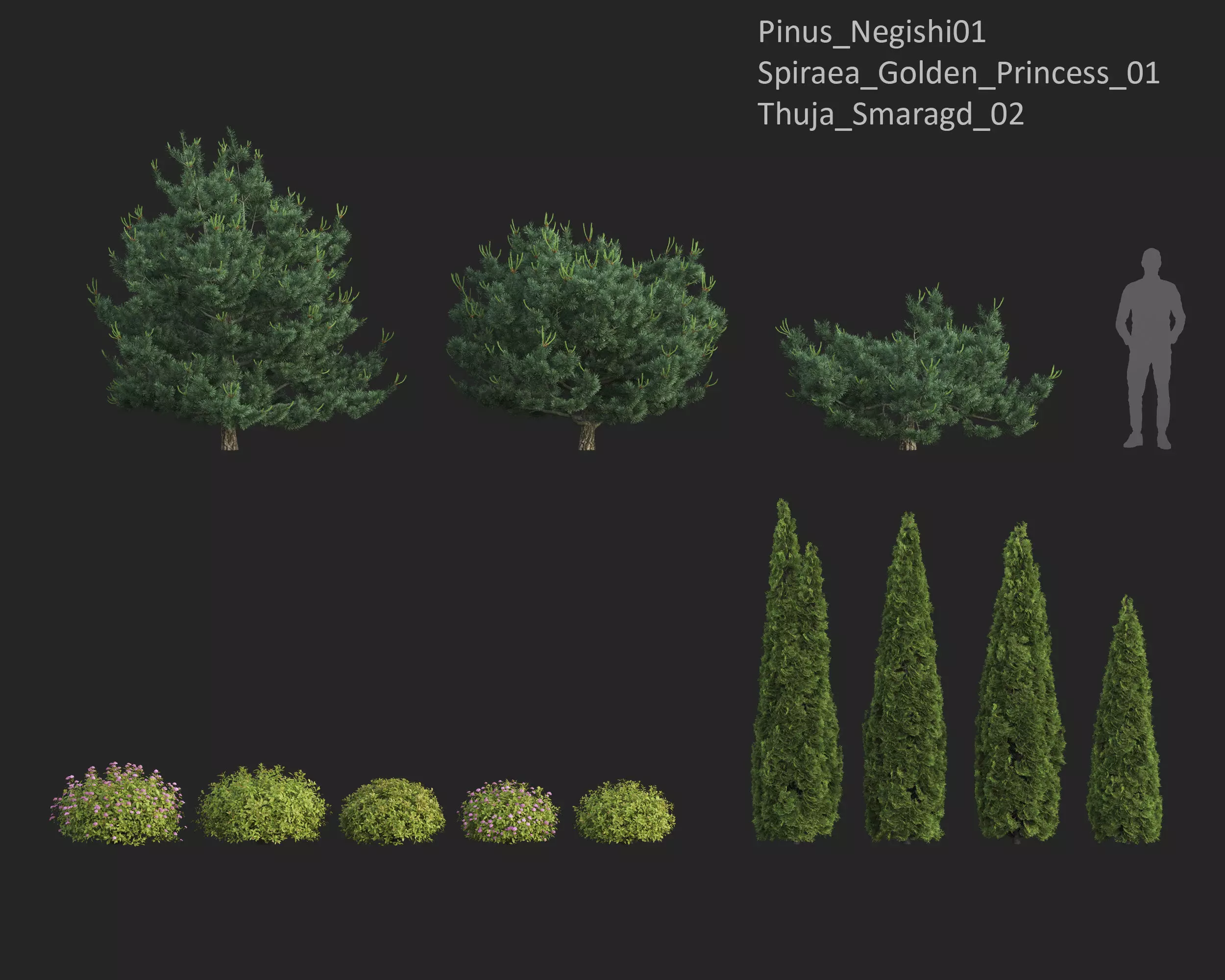 Plants Collection 1 3D model_17