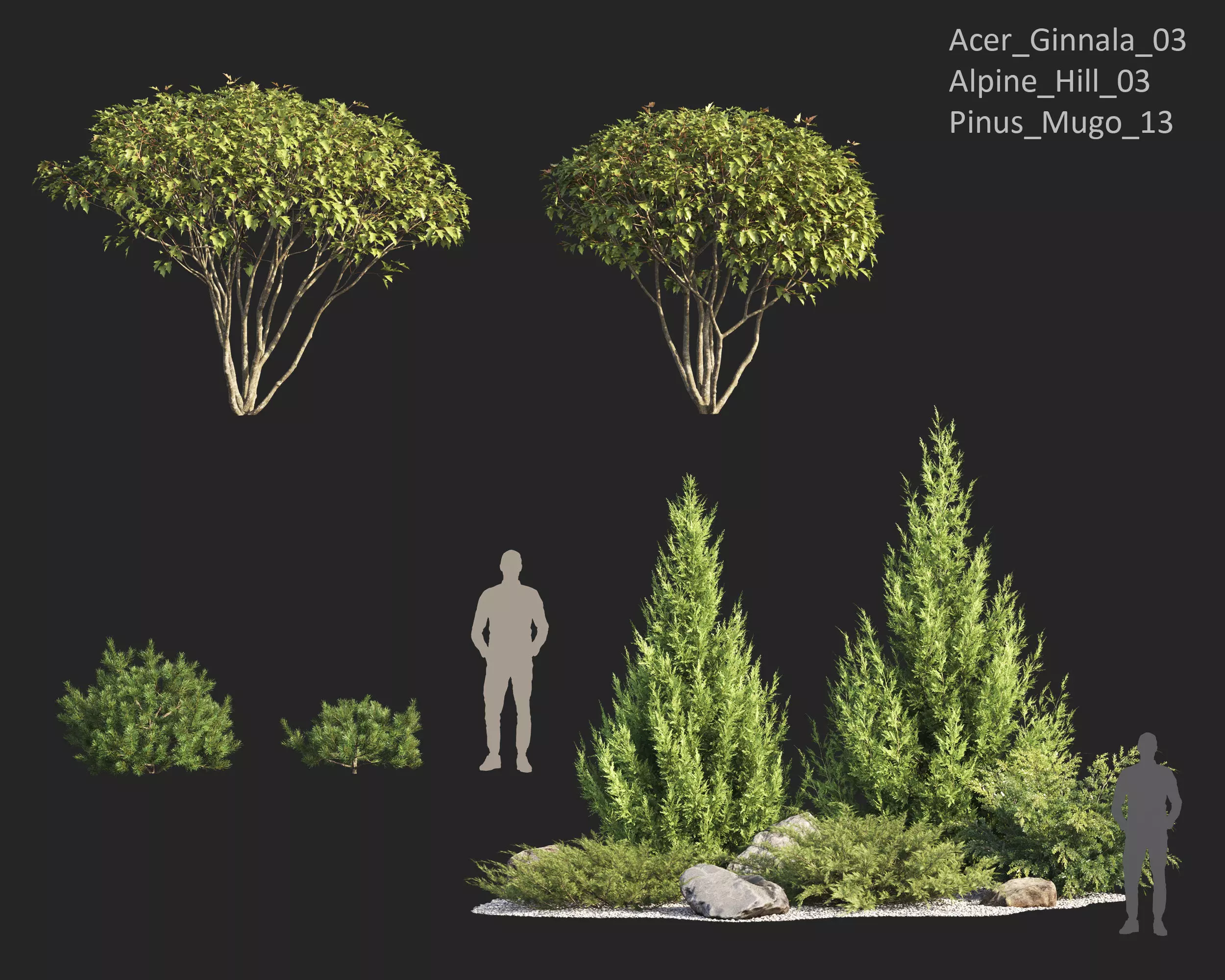 Plants Collection 1 3D model_6