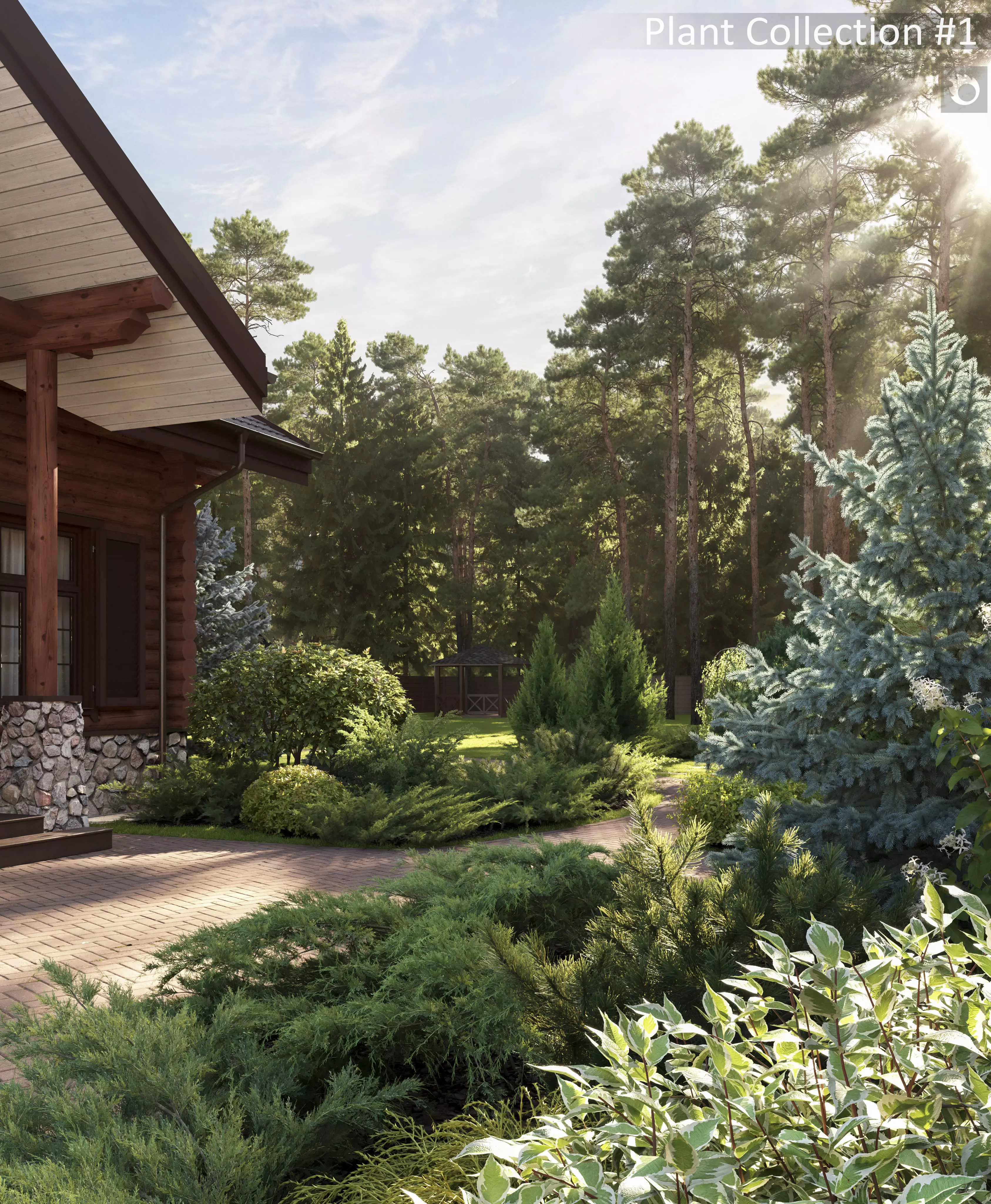 Plants Collection 1 3D model_2