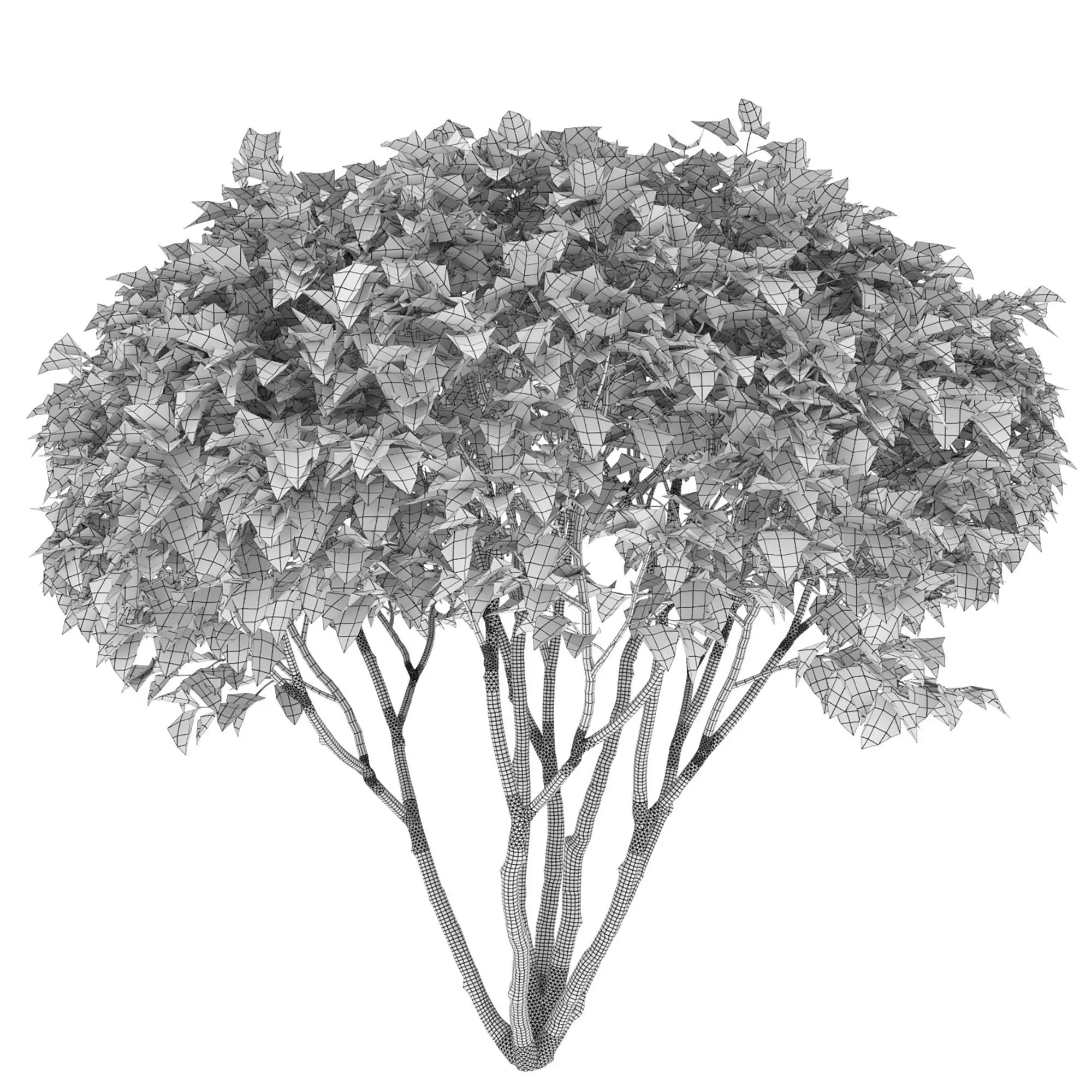 Plants Collection 1 3D model_32