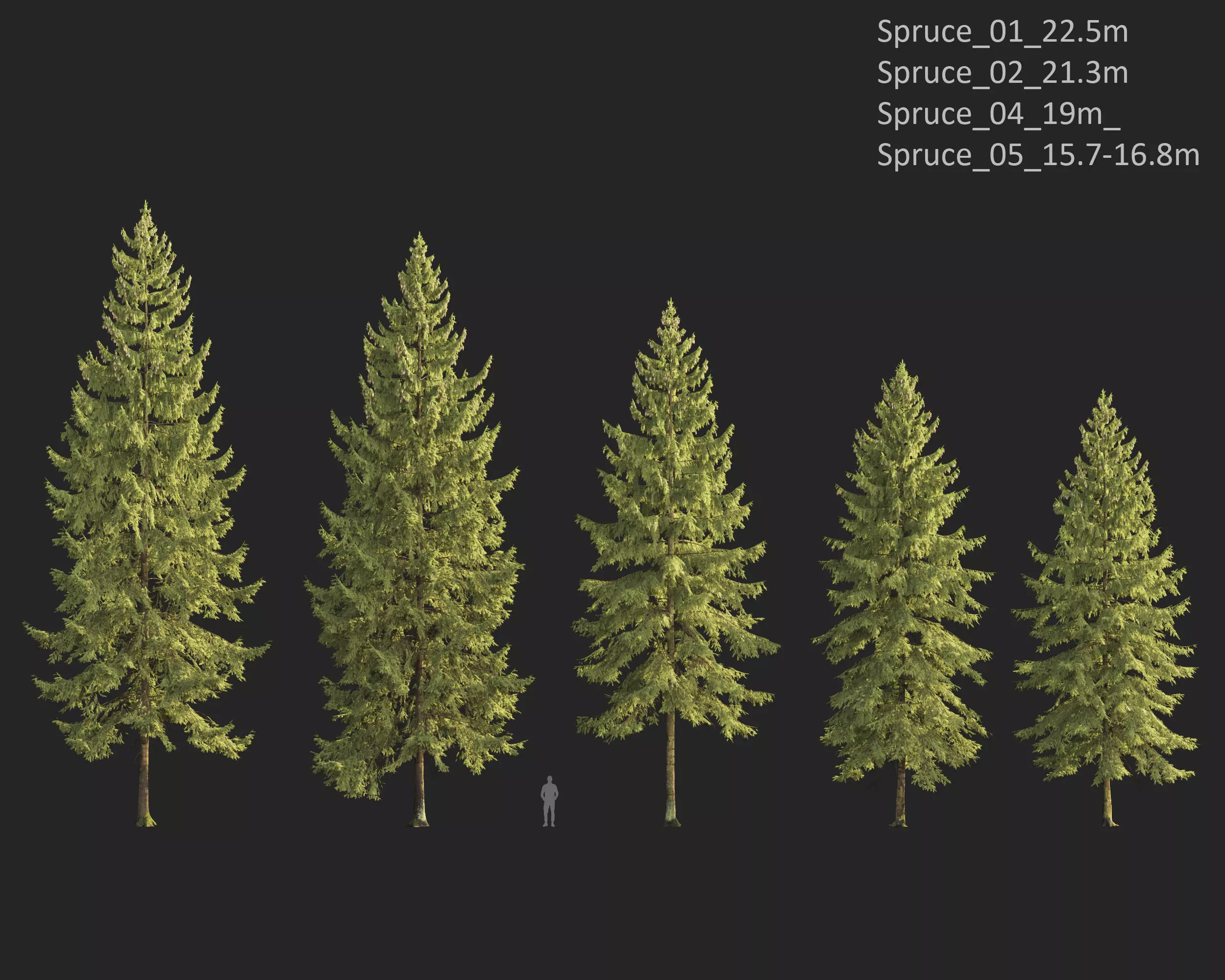 Plants Collection 1 3D model_26