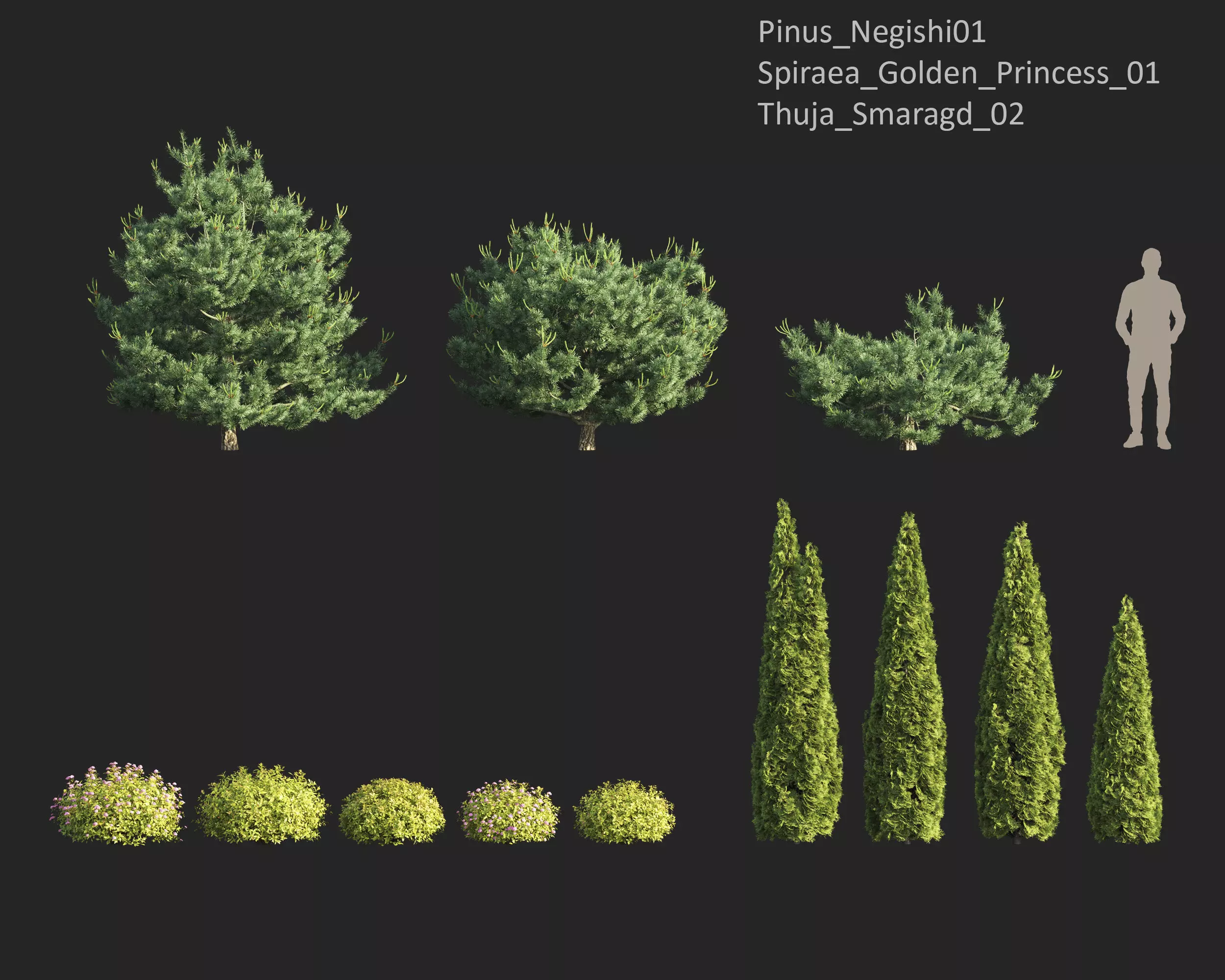 Plants Collection 1 3D model_19