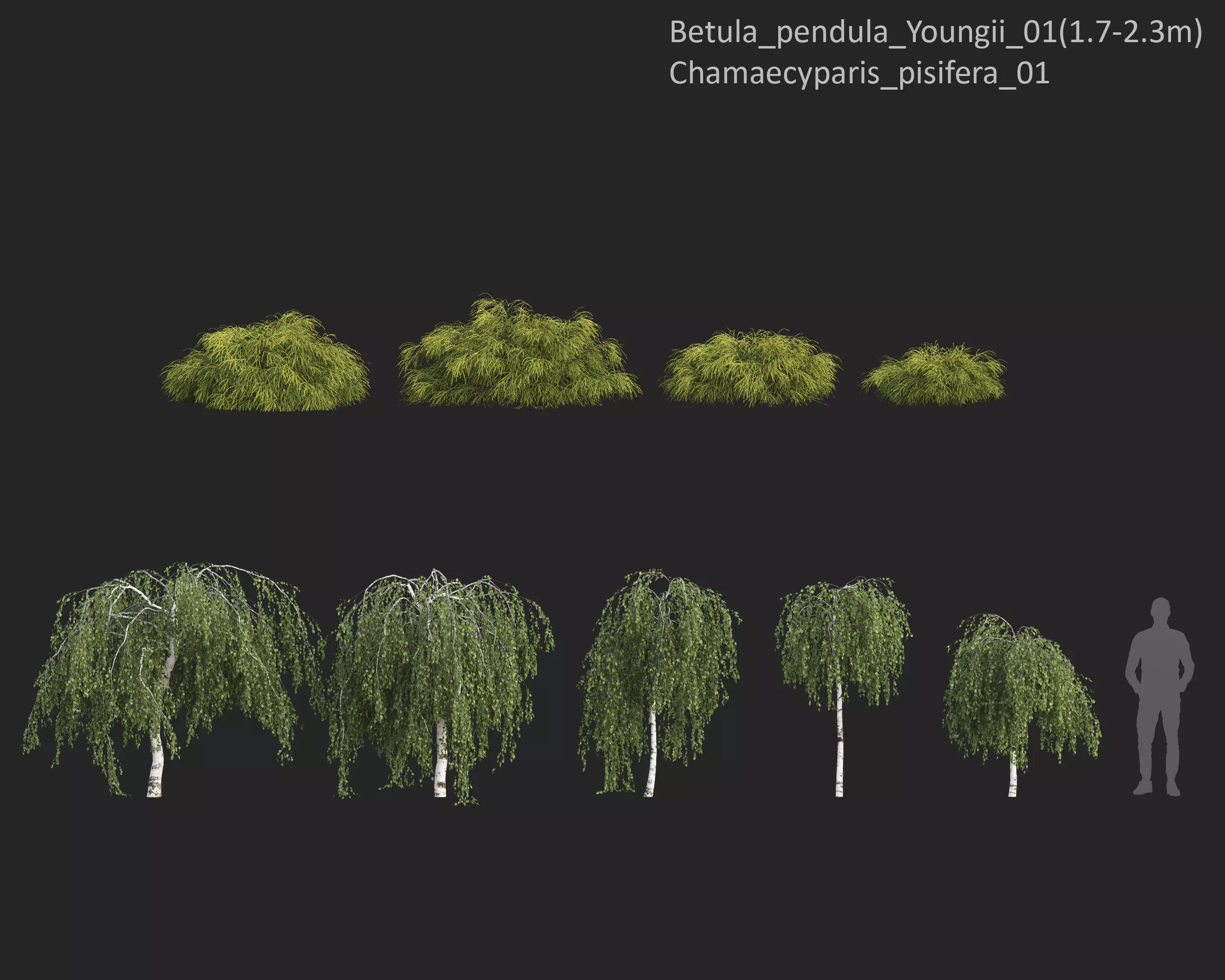 Plants Collection 1 3D model_10