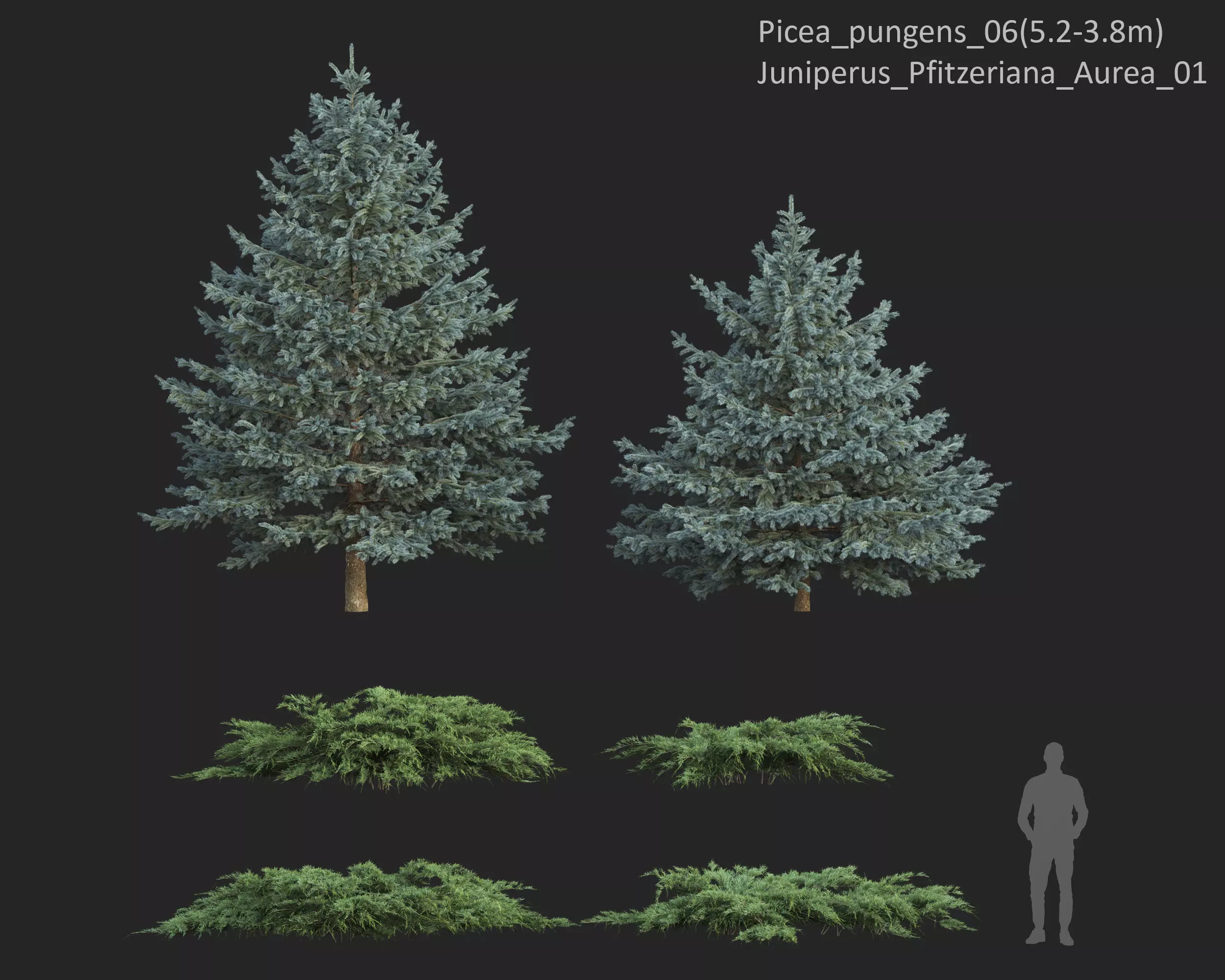 Plants Collection 1 3D model_16