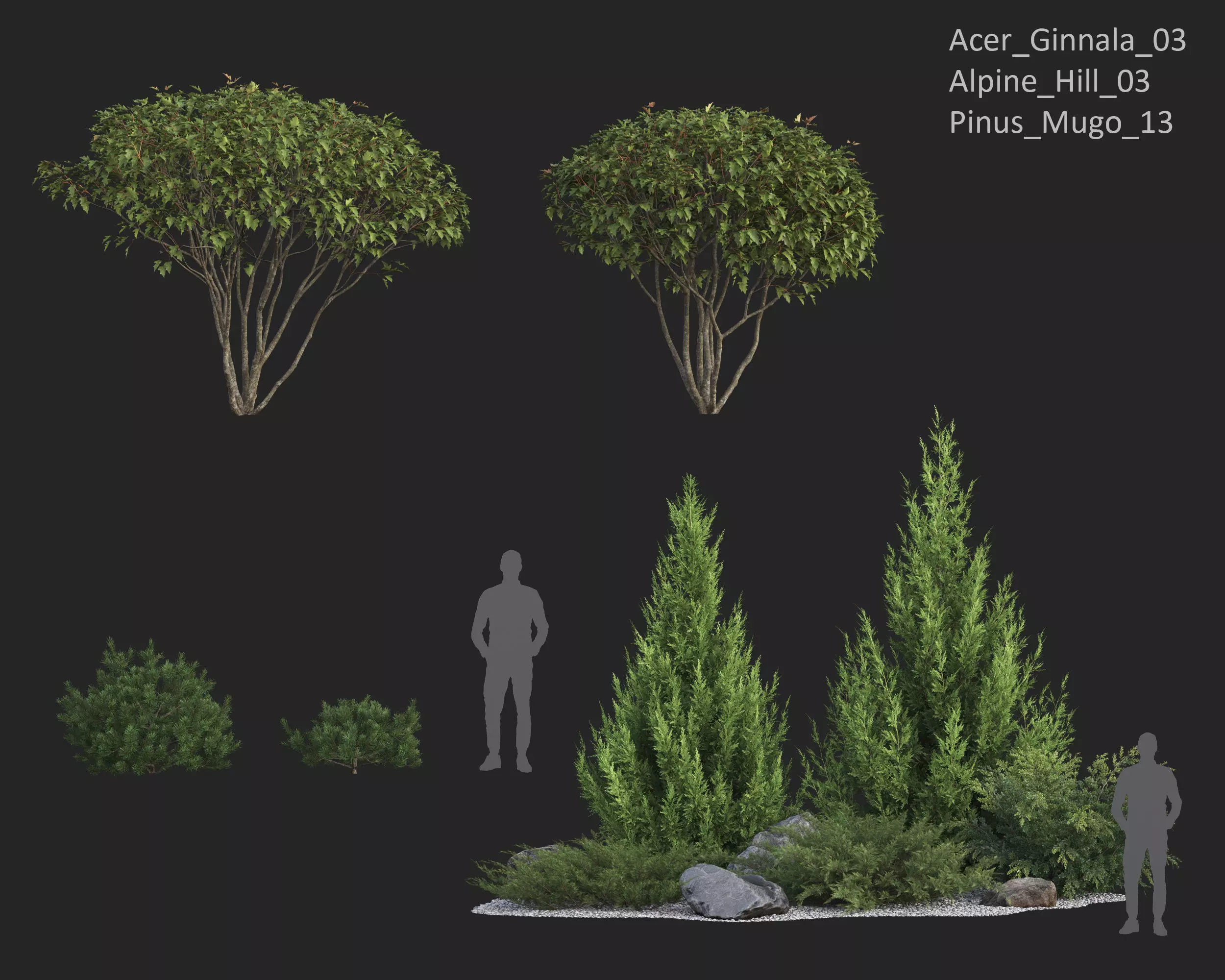 Plants Collection 1 3D model_7