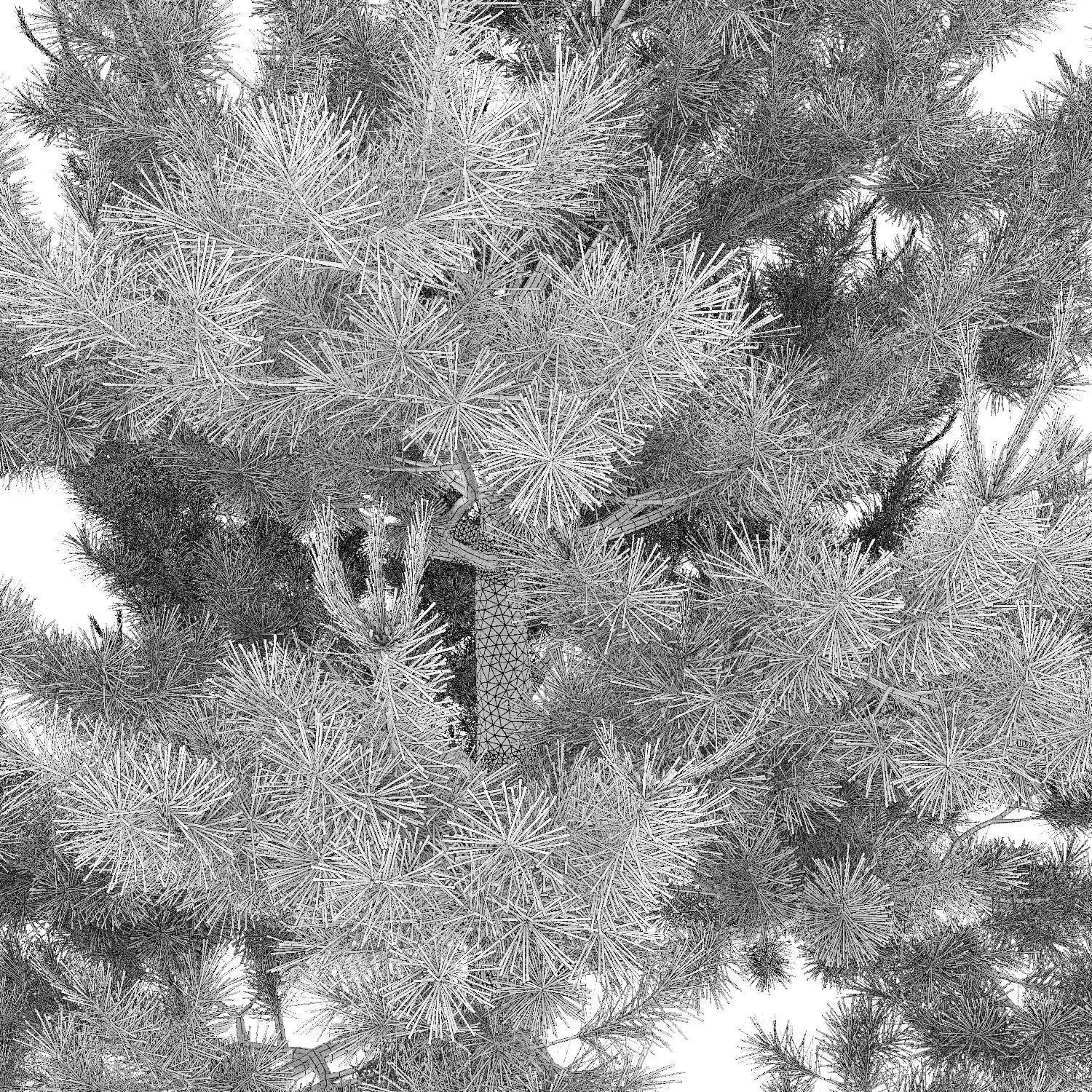 Plants Collection 1 3D model_34