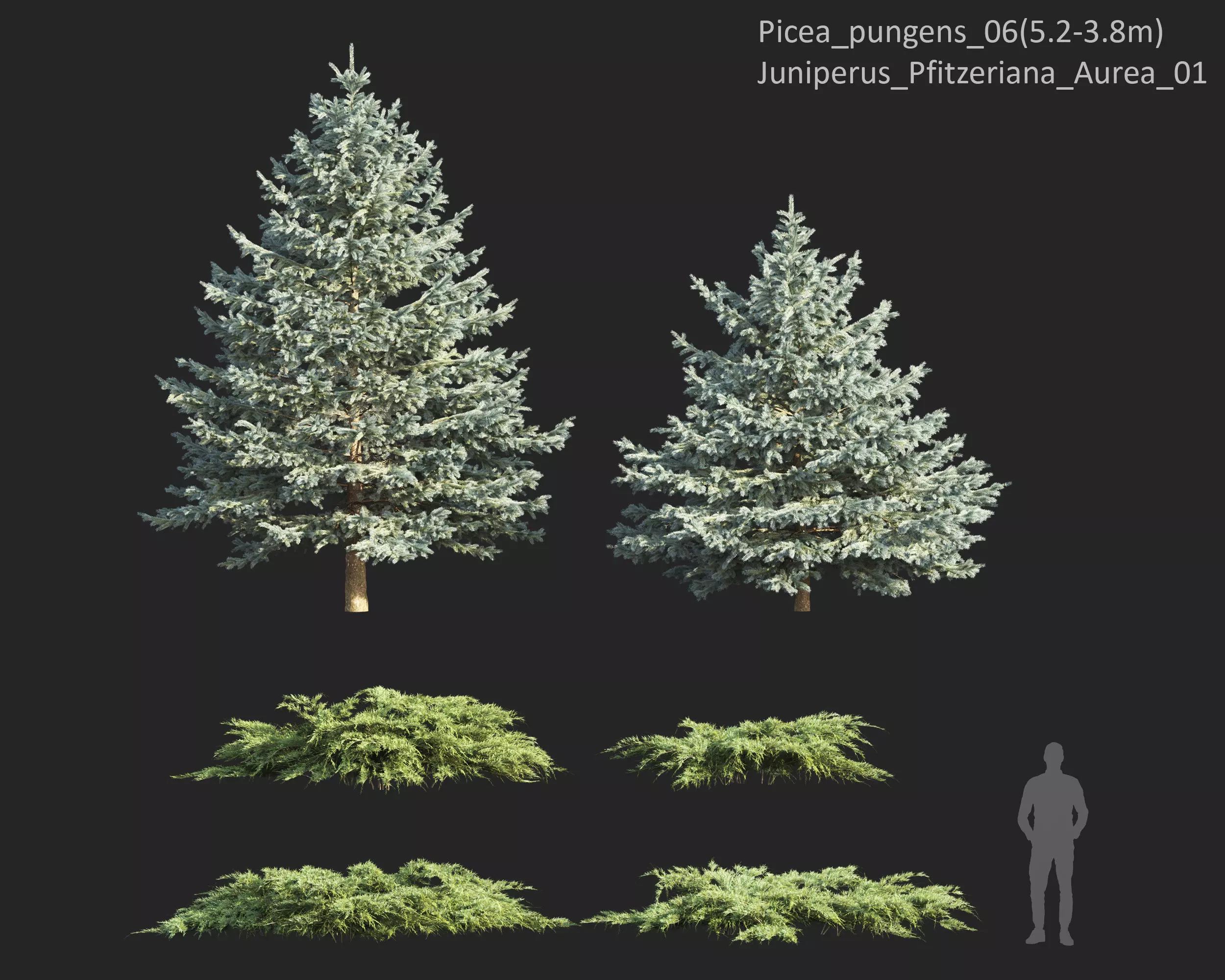 Plants Collection 1 3D model_15