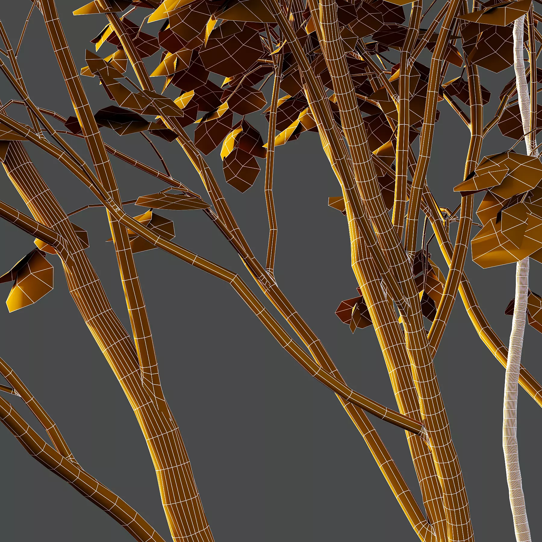 Different Trees 34 3D model_5