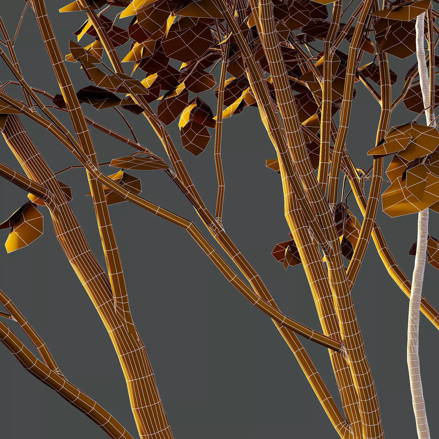 Different Trees 40 3D model_6