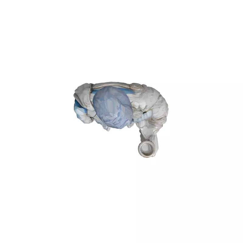 Realistic Roman Emperor Statue 3D Model Low-poly 3D model_8