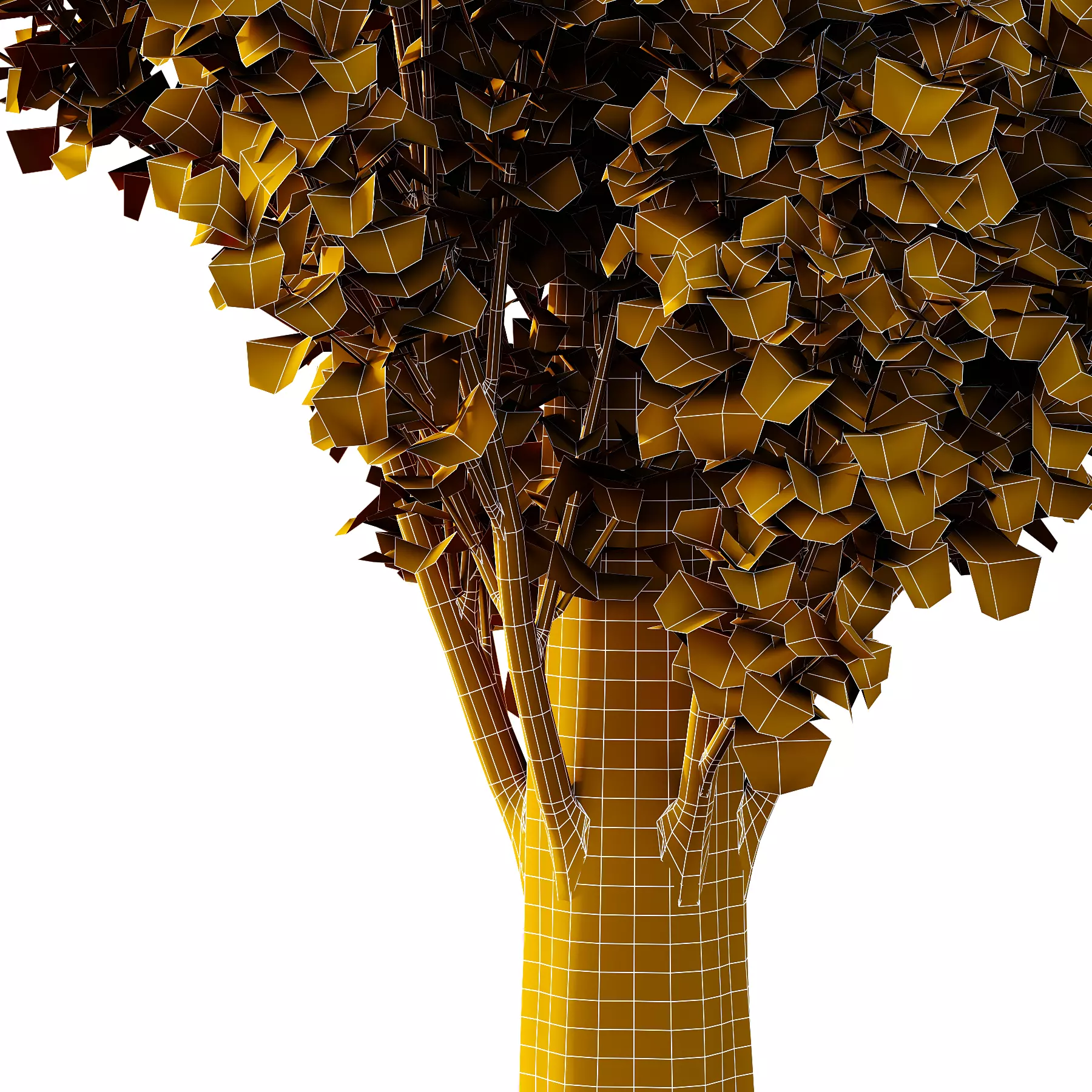fagus sylvatica tree 15 3D model_3