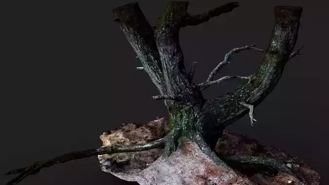 tree trunk broken roots branches PBR photogrammetry