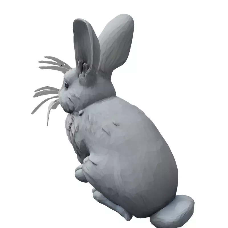 Stylized Realistic Rabbit 3D Model Low-poly 3D model_5