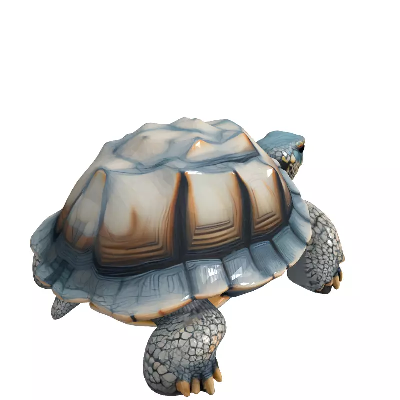 Realistic 3D Tortoise Model Low-poly 3D model_3