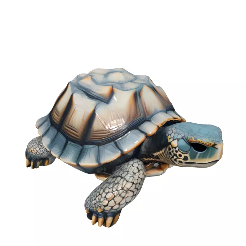 Realistic 3D Tortoise Model Low-poly 3D model_2