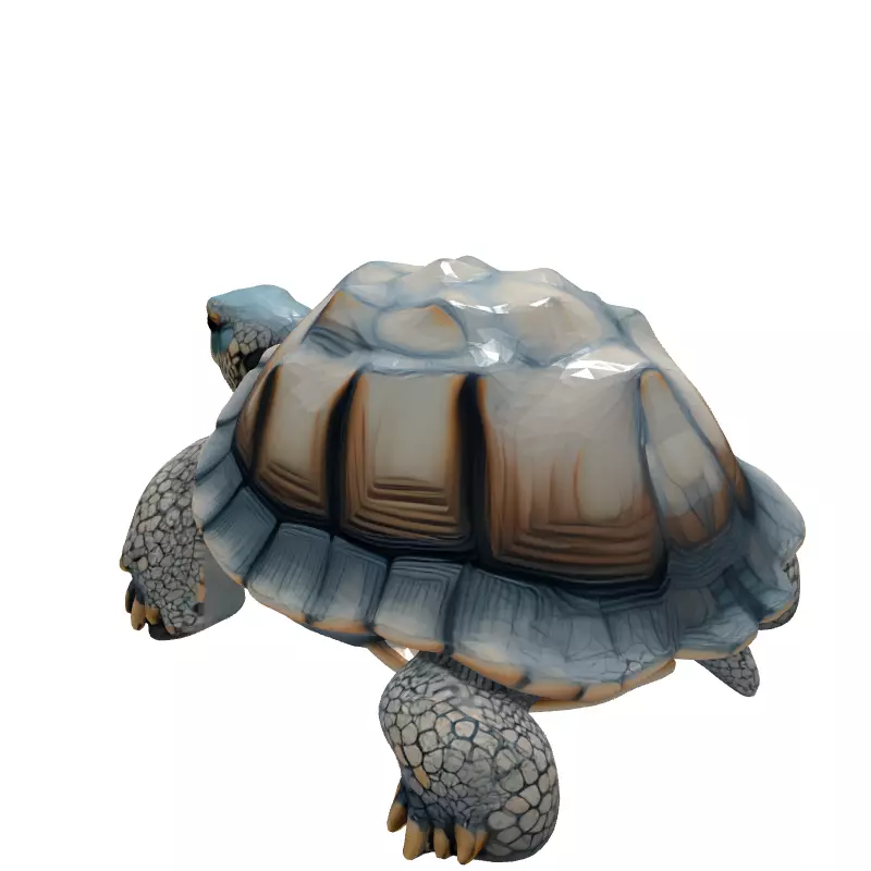 Realistic 3D Tortoise Model Low-poly 3D model_6