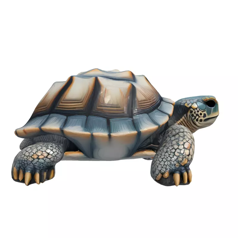 Realistic 3D Tortoise Model Low-poly 3D model_4