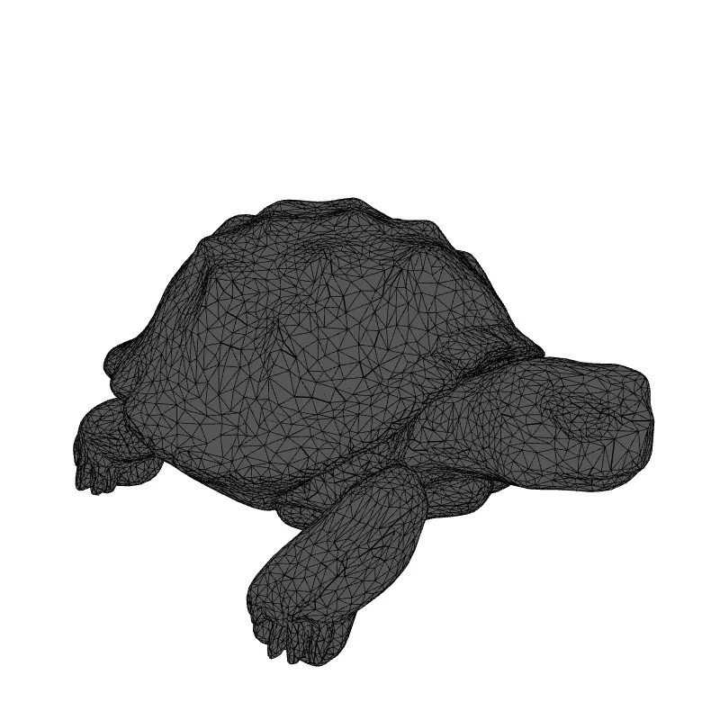 Realistic 3D Tortoise Model Low-poly 3D model_9