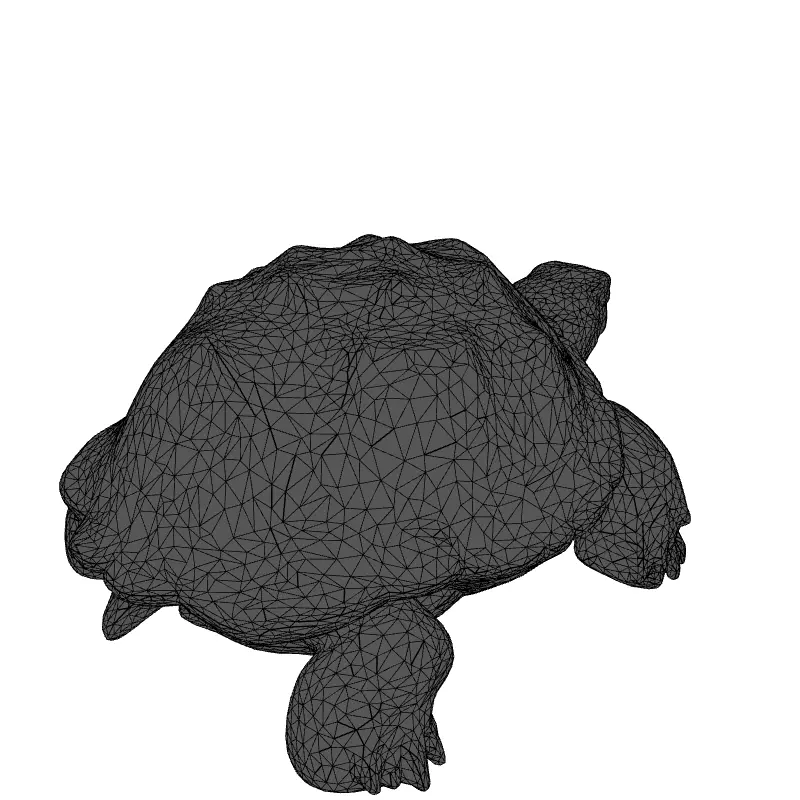 Realistic 3D Tortoise Model Low-poly 3D model_1