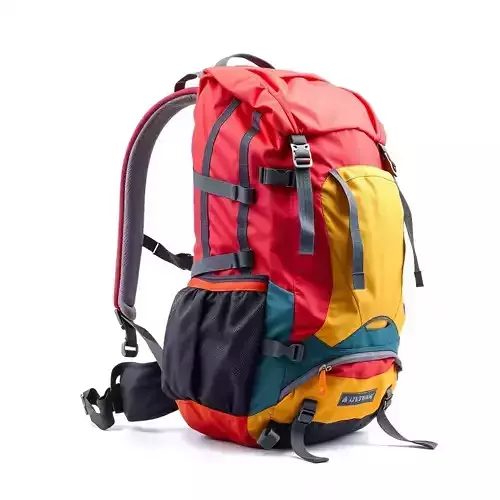 Vibrant Expedition Backpack model pack Low-poly 3D model 2