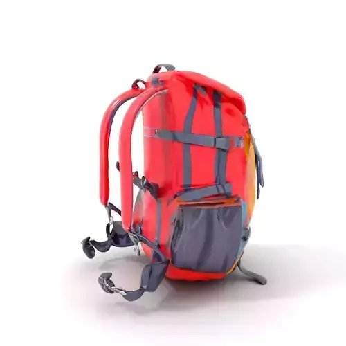 Vibrant Expedition Backpack model pack