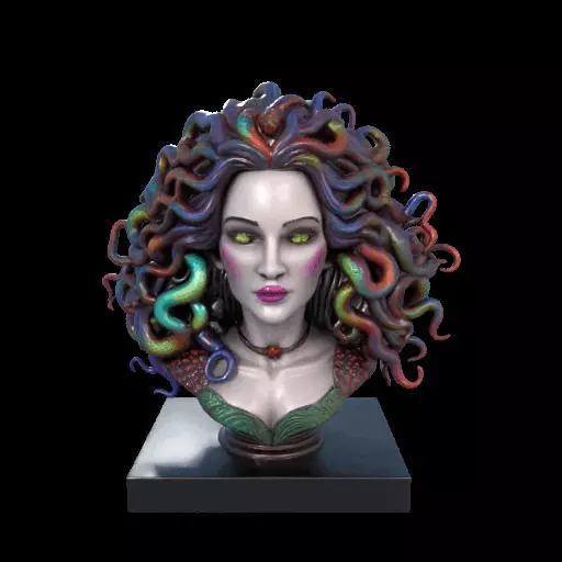 2028  Medusa Gorgon Head 3D Model  magic 3D print model_0