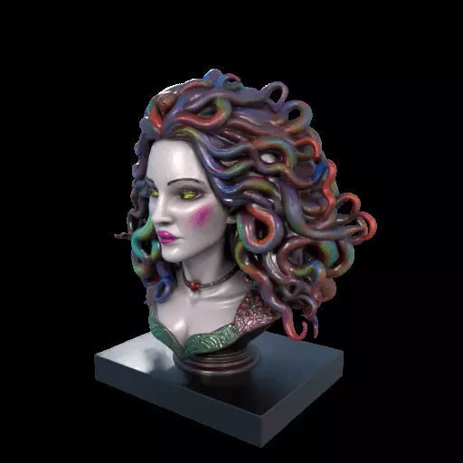 2028  Medusa Gorgon Head 3D Model  magic 3D print model_20