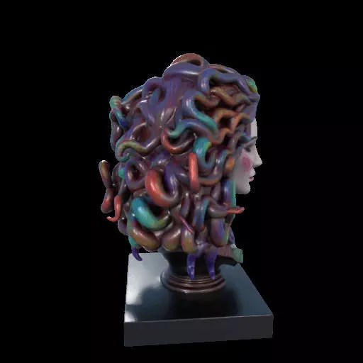 2028  Medusa Gorgon Head 3D Model  magic 3D print model_28