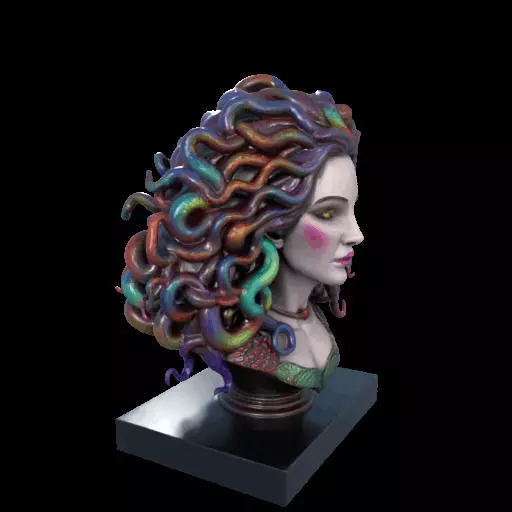 2028  Medusa Gorgon Head 3D Model  magic 3D print model_25
