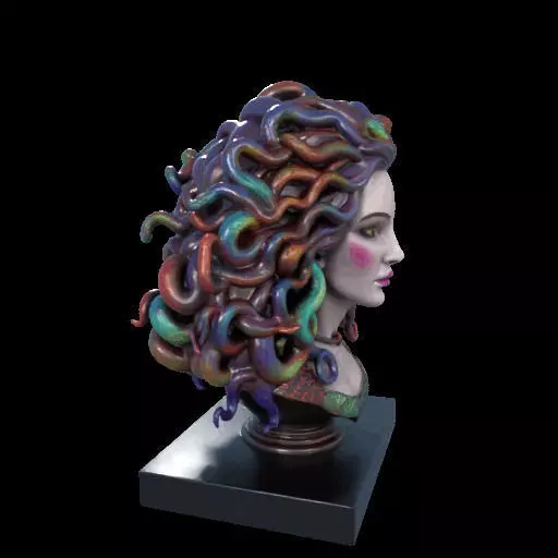 2028  Medusa Gorgon Head 3D Model  magic 3D print model_26