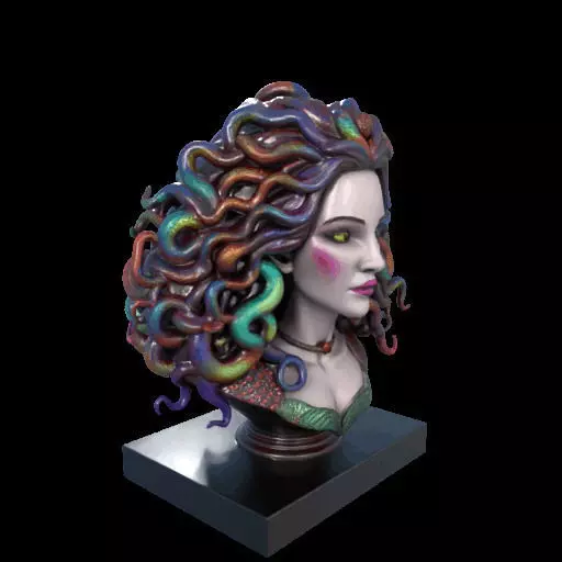 2028  Medusa Gorgon Head 3D Model  magic 3D print model_24