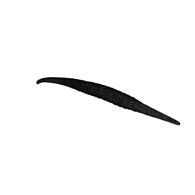 Realistic 3D Lituites Fossil Model Low-poly 3D model_1