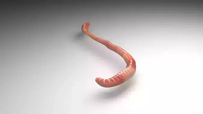 Animated Earthworm