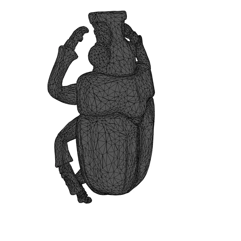 Realistic Turquoise Scarab Beetle 3D Model Low-poly 3D model_1