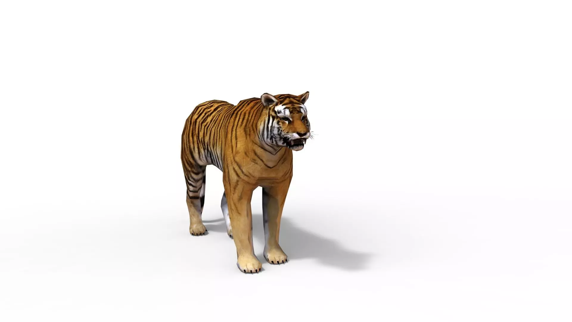 Animated Tiger Low-poly 3D model_3