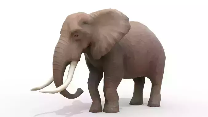 Animated African Elephant