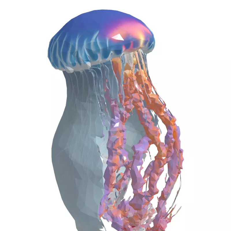 Realistic Animated Jellyfish 3D Model Low-poly 3D model_3