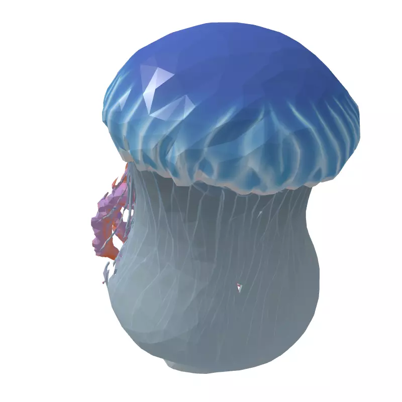 Realistic Animated Jellyfish 3D Model Low-poly 3D model_5