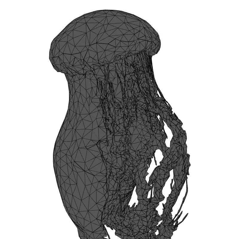 Realistic Animated Jellyfish 3D Model Low-poly 3D model_1