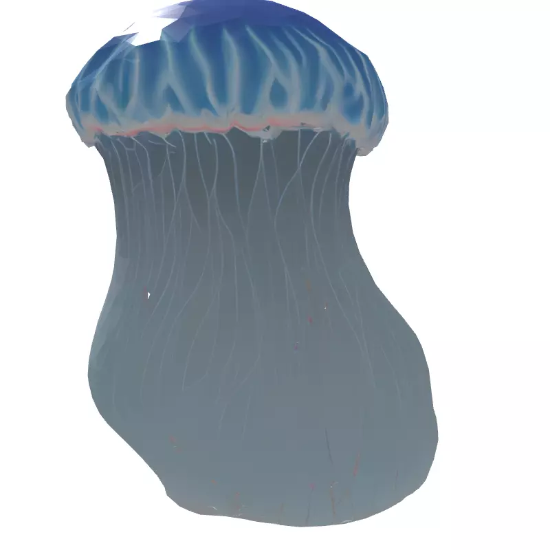 Realistic Animated Jellyfish 3D Model Low-poly 3D model_7